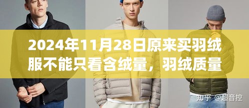 超越含绒量，羽绒服质量与时尚设计的选择之道（2024年视角）