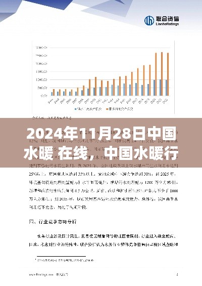 中国水暖行业在线发展展望，未来趋势与洞察（2024年视角）