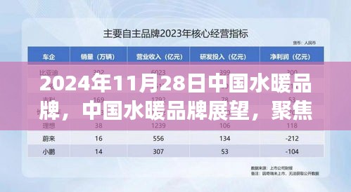 2024年11月28日中国水暖品牌展望与行业洞察