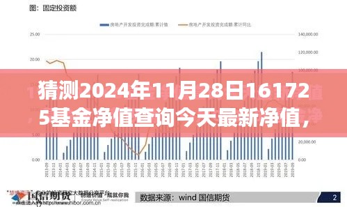 探寻自然秘境之旅，启程对话心灵，预测基金净值的小插曲——最新净值查询与预测分析（XXXX年XX月XX日）