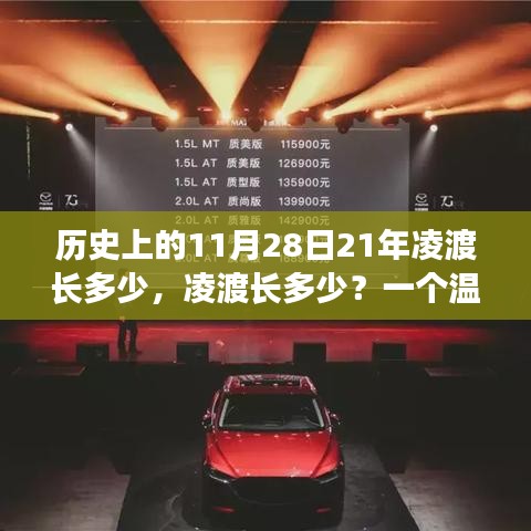 温馨故事，凌渡车长揭秘，历史上的今天与温馨的相遇——11月28日的故事