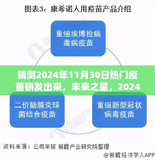 2024年热门疫苗揭秘，未来之星，评测与介绍