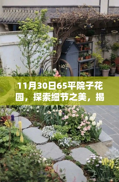 揭秘，11月30日65平院子花园的独特魅力与细节之美探索