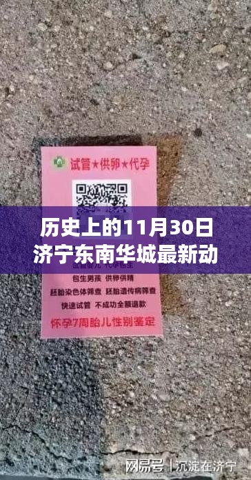 探寻济宁东南华城自然美景的心灵之旅，历史上的11月30日最新动态回顾