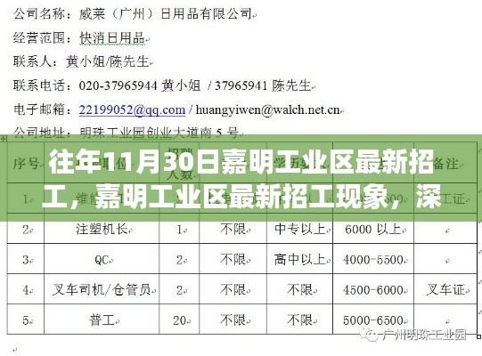 嘉明工业区最新招工现象深度解析与观点阐述，招工趋势、特点与影响探讨