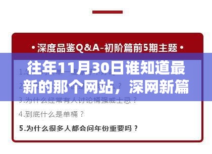 揭秘深网新篇，十一月三十日时代印记网站回顾