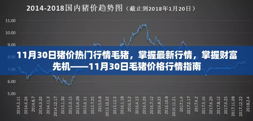 11月30日毛猪价格行情指南，掌握最新热门行情，洞悉财富先机