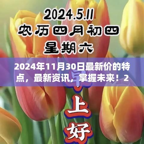 掌握未来！2024年11月30日最新价特点与获取指南