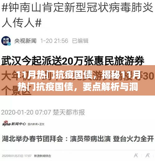 揭秘热点抗疫国债，解析要点与洞察深度解读