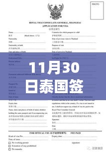 泰国签证办理流程全面解析，最新热门指南（11月30日版）