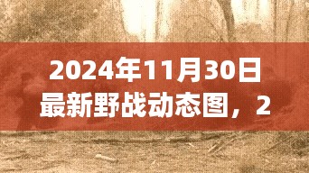 深度解析，最新野战动态图揭示的军事变革与时代地位