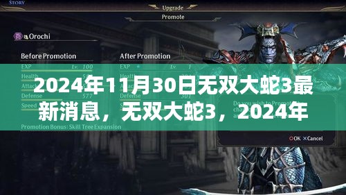 无双大蛇3最新消息，2024年动态及深远影响揭秘