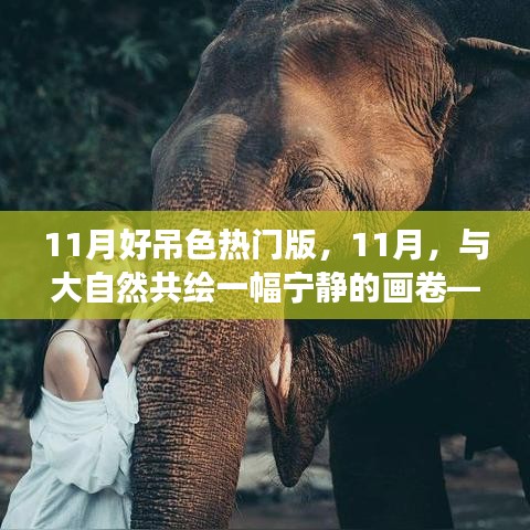 11月心灵之旅，与自然共绘宁静画卷的启程