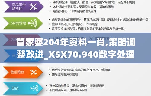 管家婆204年资料一肖,策略调整改进_XSX70.940数字处理版