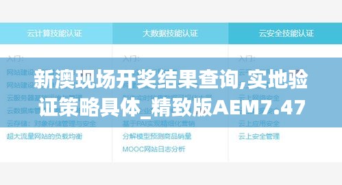 新澳现场开奖结果查询,实地验证策略具体_精致版AEM7.475