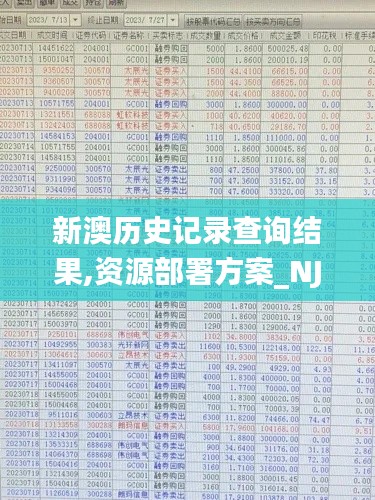 新澳历史记录查询结果,资源部署方案_NJJ10.963优雅版