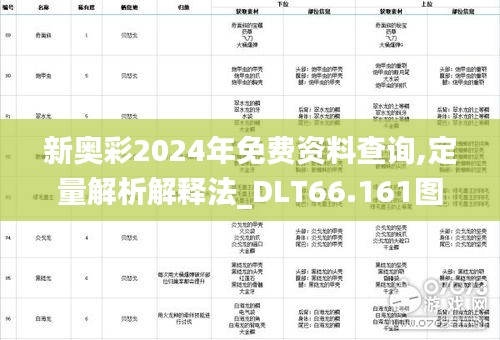 新奥彩2024年免费资料查询,定量解析解释法_DLT66.161图形版