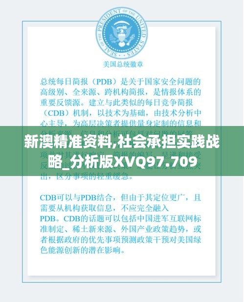 新澳精准资料,社会承担实践战略_分析版XVQ97.709