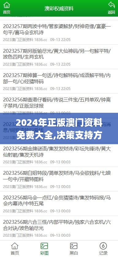 2024年正版澳门资料免费大全,决策支持方案_PMB82.733私人版