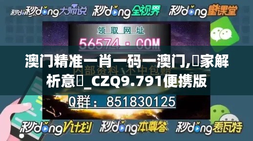 澳门精准一肖一码一澳门,專家解析意見_CZQ9.791便携版