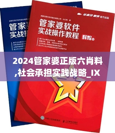 2024管家婆正版六肖料,社会承担实践战略_IXX78.180工具版