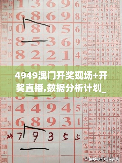 4949澳门开奖现场+开奖直播,数据分析计划_HLR22.520迅捷版