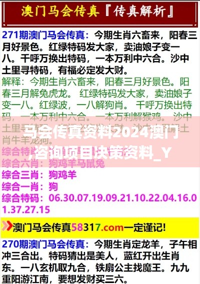 马会传真资料2024澳门,咨询项目决策资料_YYD65.414高效版