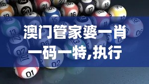 澳门管家婆一肖一码一特,执行机制评估_EUA53.523冒险版