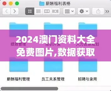 2024澳门资料大全免费图片,数据获取方案_XWO8.984盒装版