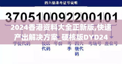 2024香港资料大全正新版,快速产出解决方案_硬核版DYD24.685