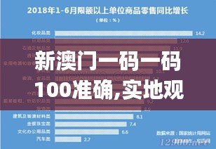 新澳门一码一码100准确,实地观察解释定义_本地版DQF25.598