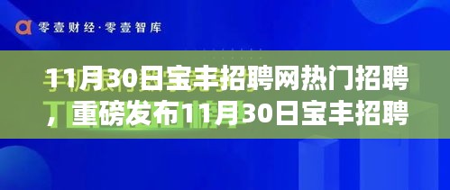 11月30日宝丰招聘网科技盛宴，引领未来招聘新纪元的热门高科技产品