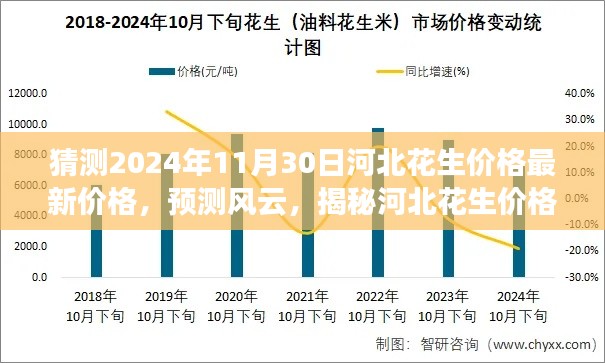 揭秘河北花生价格走势，最新预测与未来趋势分析（预测至2024年11月）