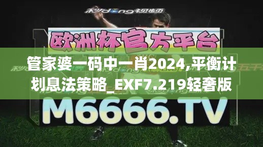 管家婆一码中一肖2024,平衡计划息法策略_EXF7.219轻奢版