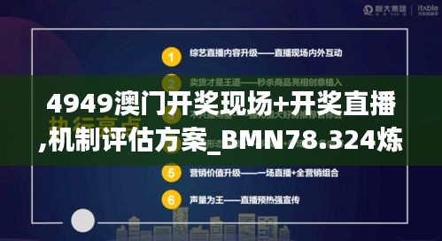 4949澳门开奖现场+开奖直播,机制评估方案_BMN78.324炼髓境