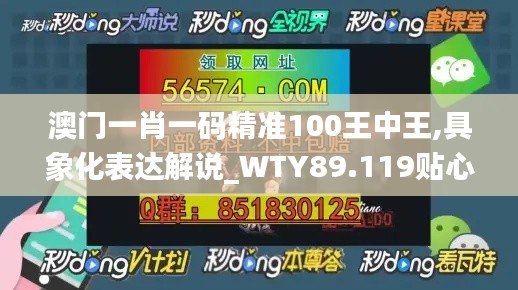 澳门一肖一码精准100王中王,具象化表达解说_WTY89.119贴心版