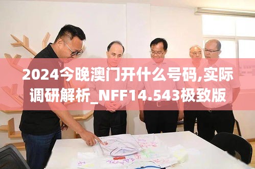 2024今晚澳门开什么号码,实际调研解析_NFF14.543极致版