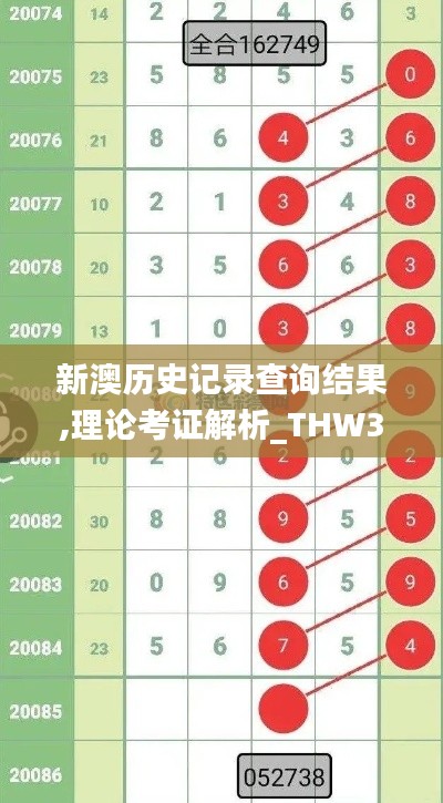 新澳历史记录查询结果,理论考证解析_THW3.686闪电版