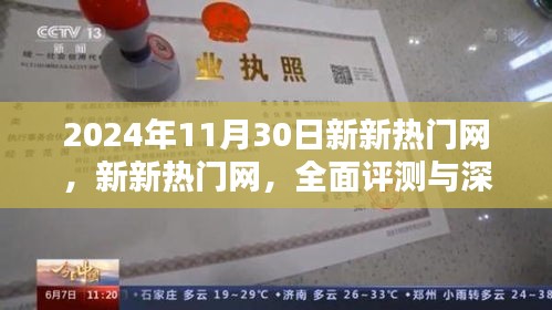 新新热门网全面评测与深度解析，2024年最新观察报告