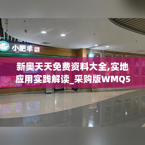 新奥天天免费资料大全,实地应用实践解读_采购版WMQ5.353