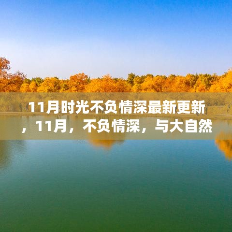 最新更新，不负情深，共舞时光——一场寻找内心平静的11月旅行之旅