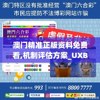 澳门精准正版资料免费看,机制评估方案_UXB82.684晴朗版