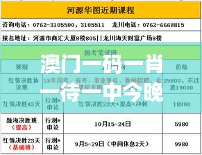 澳门一码一肖一待一中今晚,科学分析解释说明_豪华款LTE90.236