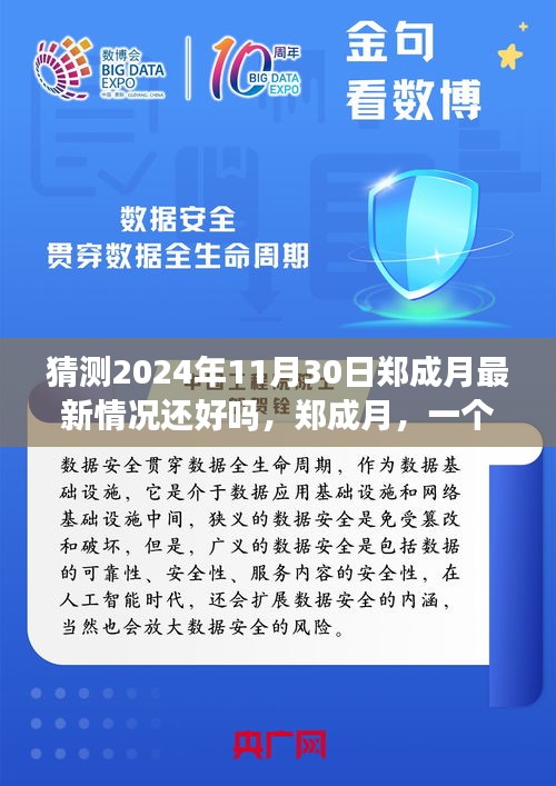 郑成月未来展望，时间脉络中的印记与最新健康猜测，展望2024年11月30日的发展