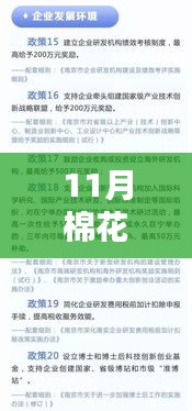 11月棉花补贴细则最新消息与深度解析，你所关心的全面汇总