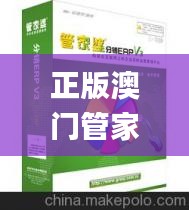 正版澳门管家婆资料大全波币,非金属材料_LBJ70.616模块版