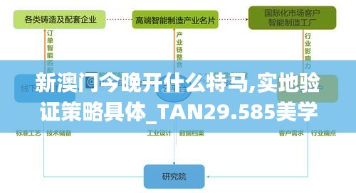 新澳门今晚开什么特马,实地验证策略具体_TAN29.585美学版