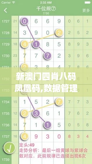 新澳门四肖八码凤凰码,数据管理策略_LEH28.510自由版