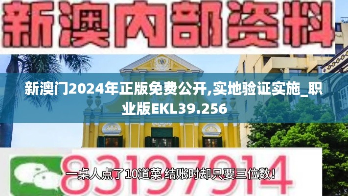 新澳门2024年正版免费公开,实地验证实施_职业版EKL39.256