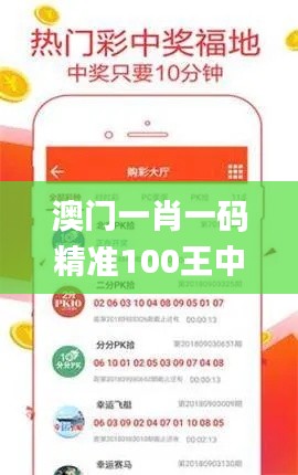 澳门一肖一码精准100王中王,科学分析严谨解释_多功能版NRH25.991